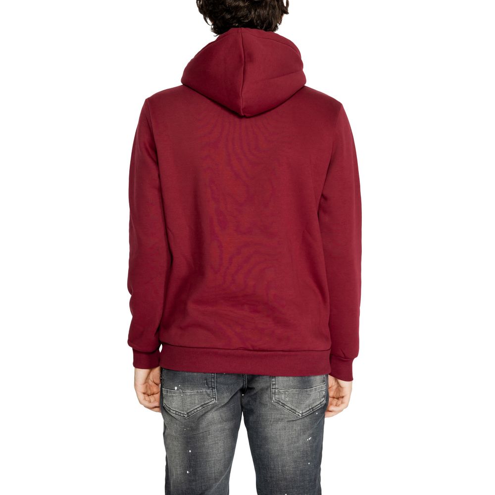 Icon Bordeaux Cotton Hoody $175.00 Icon Luzworld