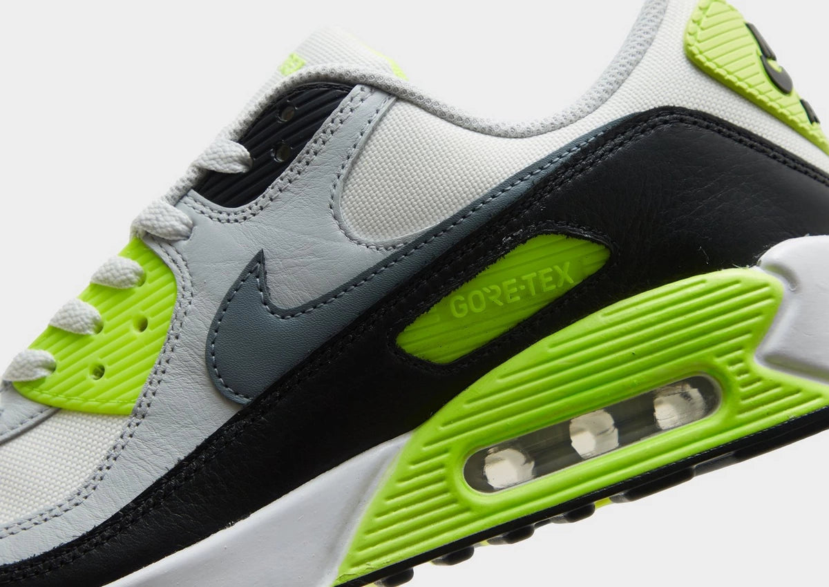 Nike Air Max 90 GORE-TEX Multicolor Nike